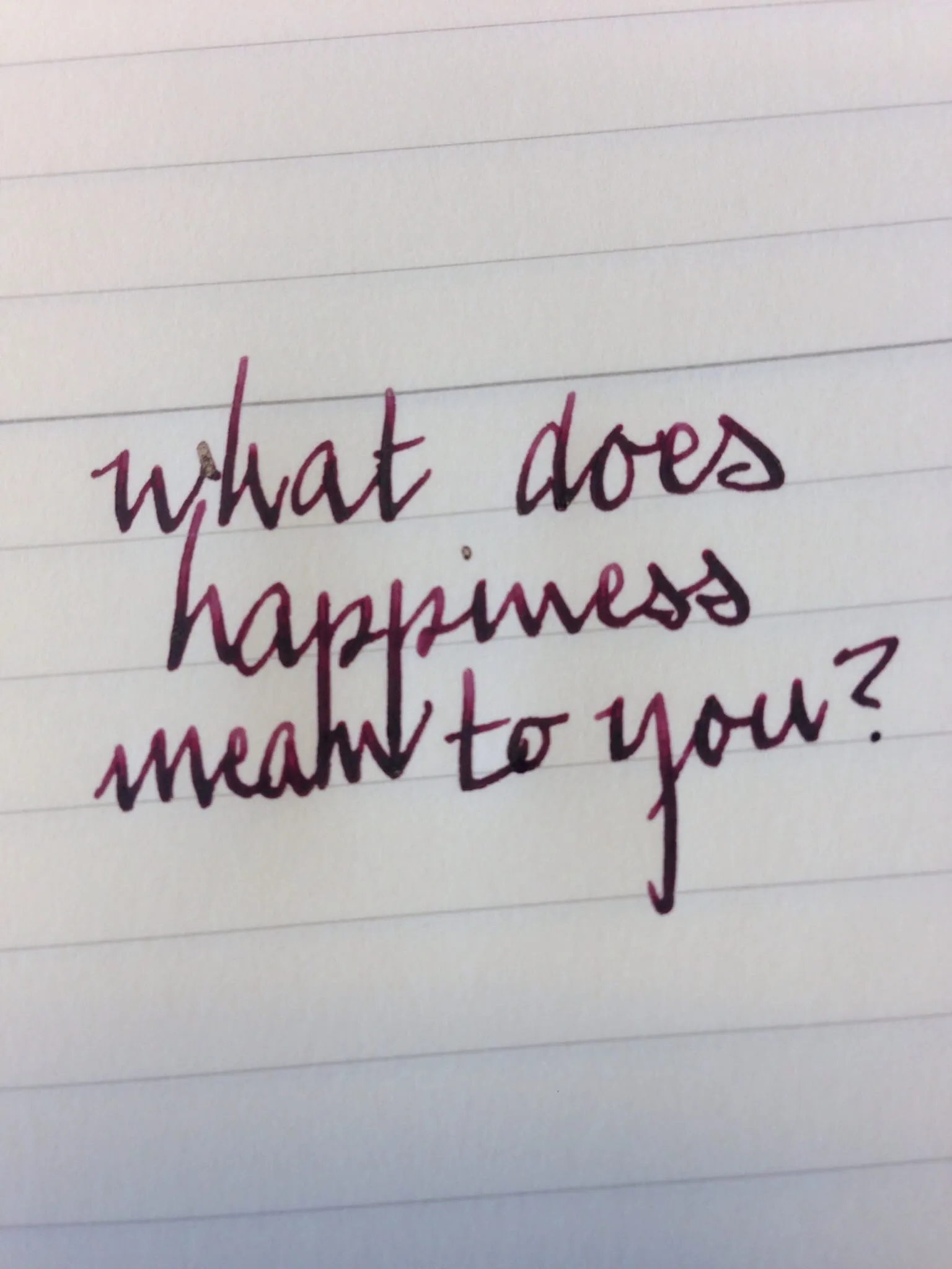 Unfiltered version. Noodler's Black Swan in Australian Roses in a Midori lined notebook.