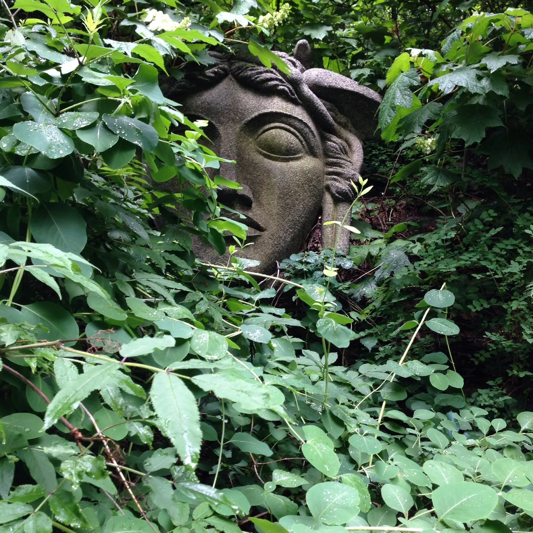 Cleveland Botanical Gardens, 21 June, 2014